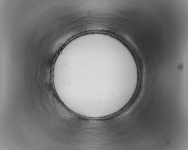 X0000111680777200908281135