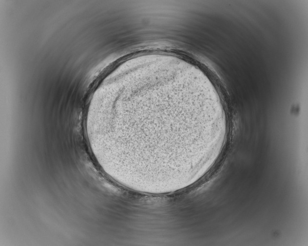 X0000111680778200908281135