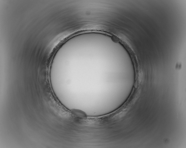 X0000111680781200908281135