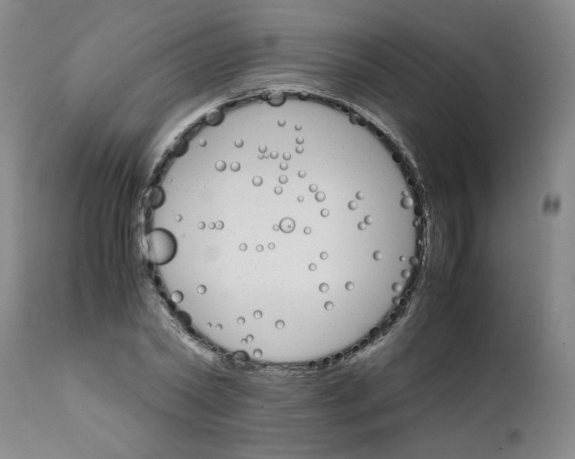 X0000111680782200908281135