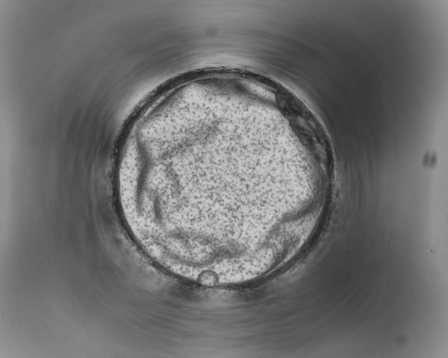 X0000111680783200908281135