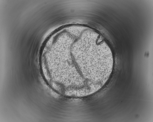 X0000111680784200908281135