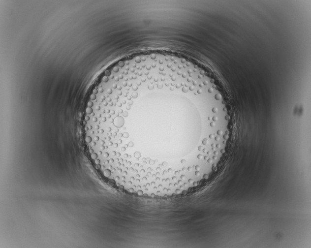 X0000111680786200908281135