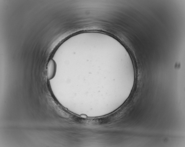 X0000111680789200908281135