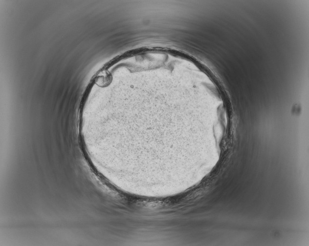 X0000111680791200908281134