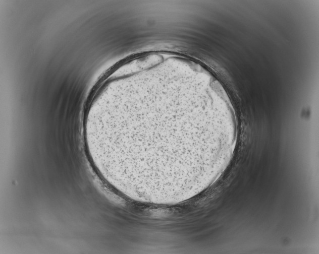 X0000111680792200908281134