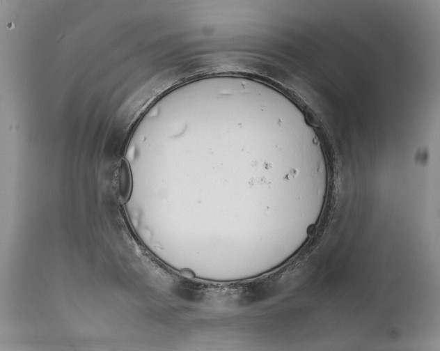 X0000111680793200908281134