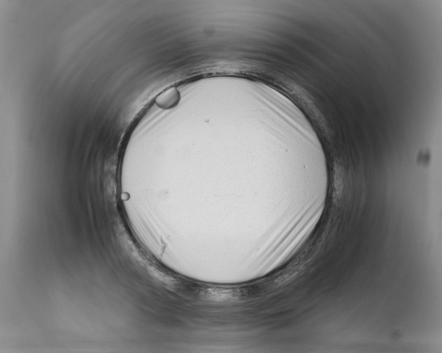 X0000111680794200908281134