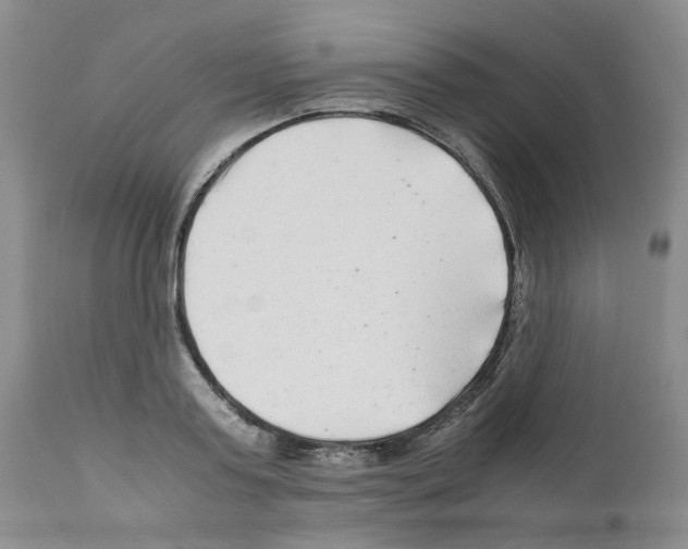 X0000111680795200908281134