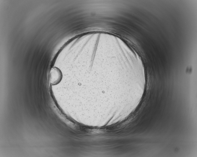 X0000111680796200908281134