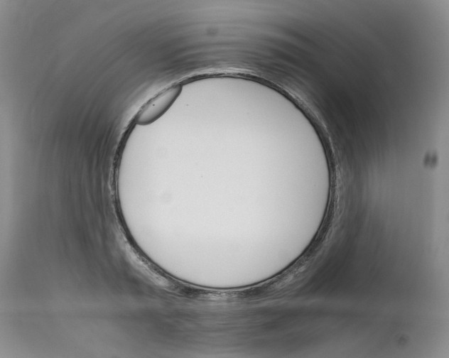 X0000111680797200908281134