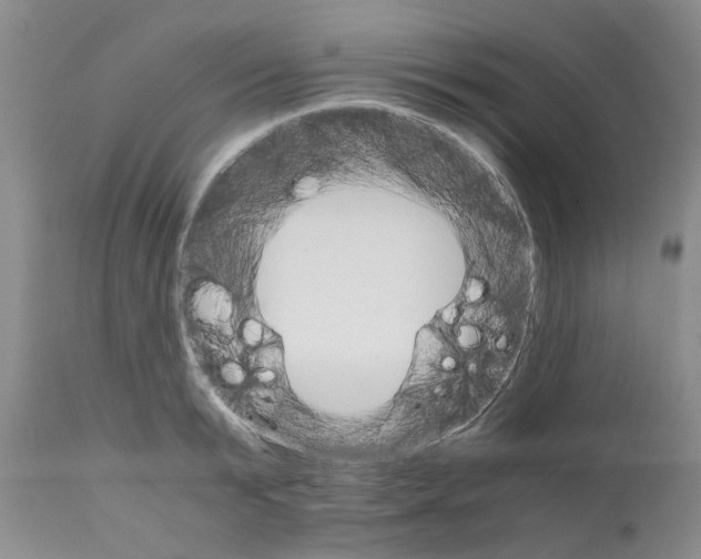 X0000111680799200908281134