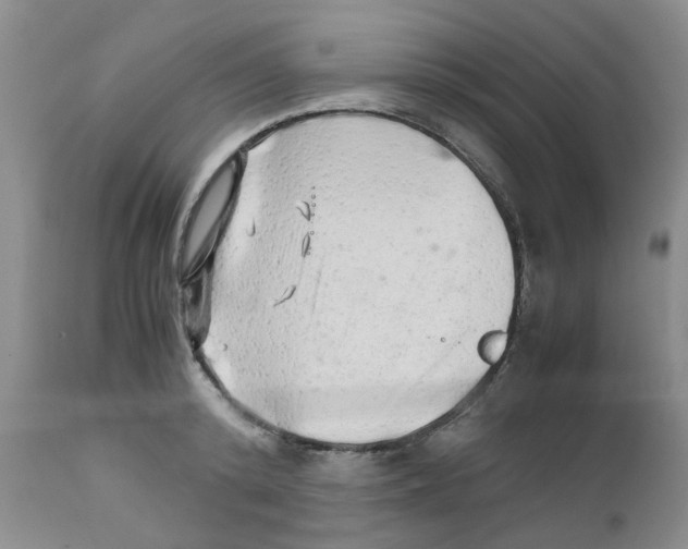 X0000111680800200908281134