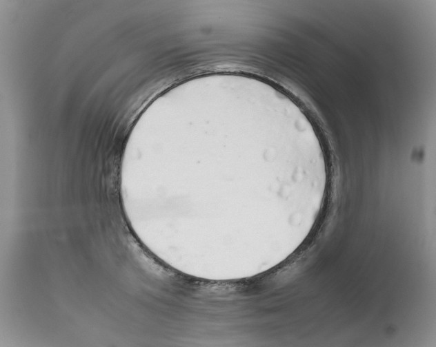 X0000111680801200908281134