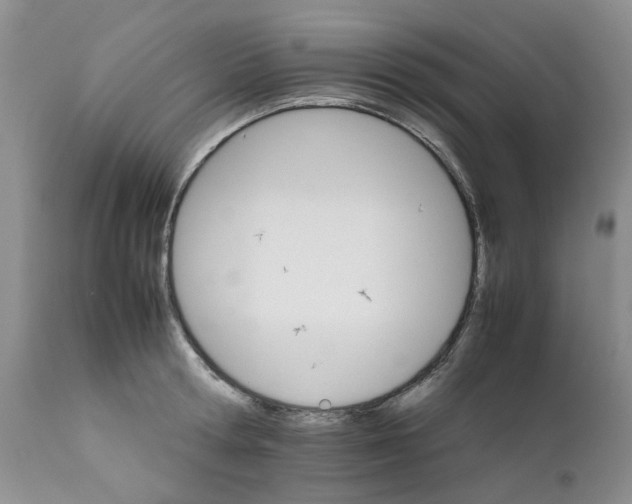 X0000111680802200908281134