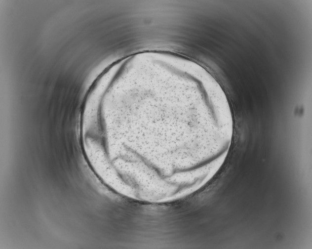 X0000111680804200908281134