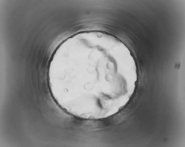 X0000111680805200908281134