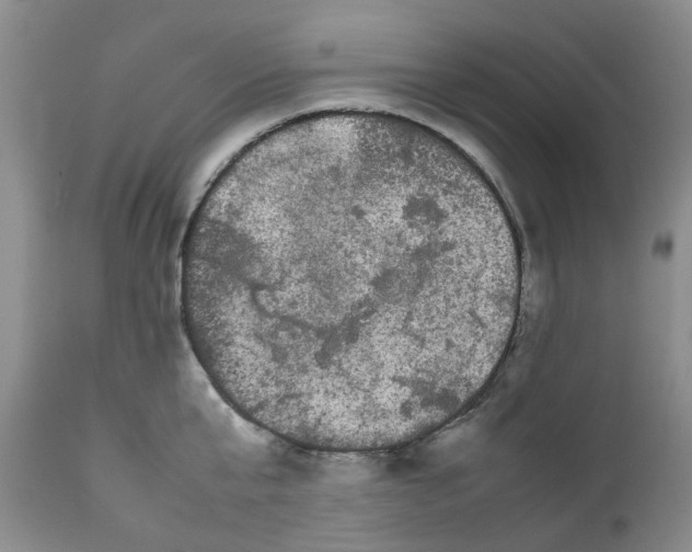 X0000111680807200908281134