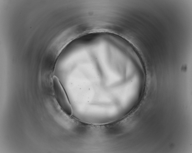 X0000111680809200908281134