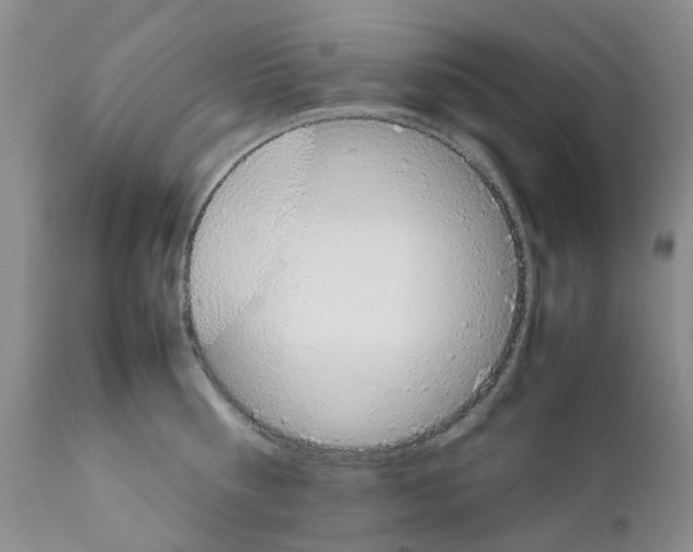 X0000111680810200908281134