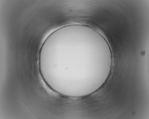 X0000111680811200908281134