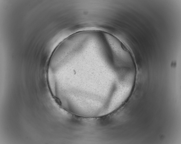 X0000111680813200908281134