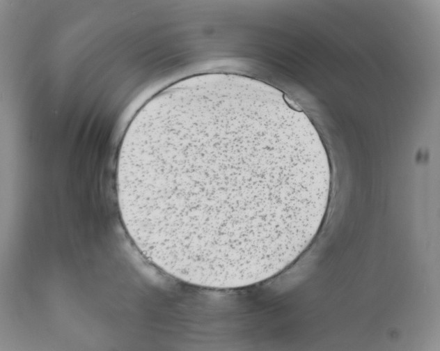 X0000111680816200908281134