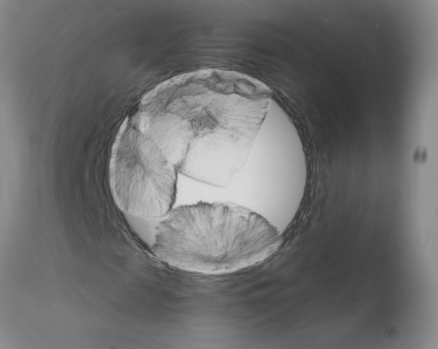 X0000111680817200908281133