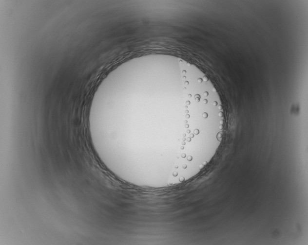 X0000111680818200908281133