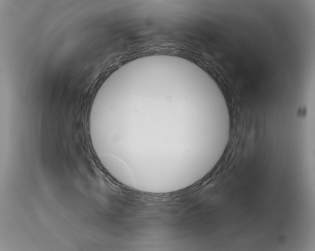 X0000111680820200908281133