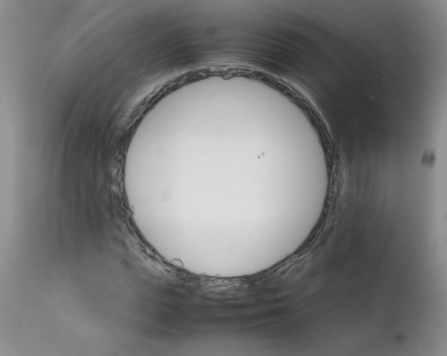 X0000111680823200908281133