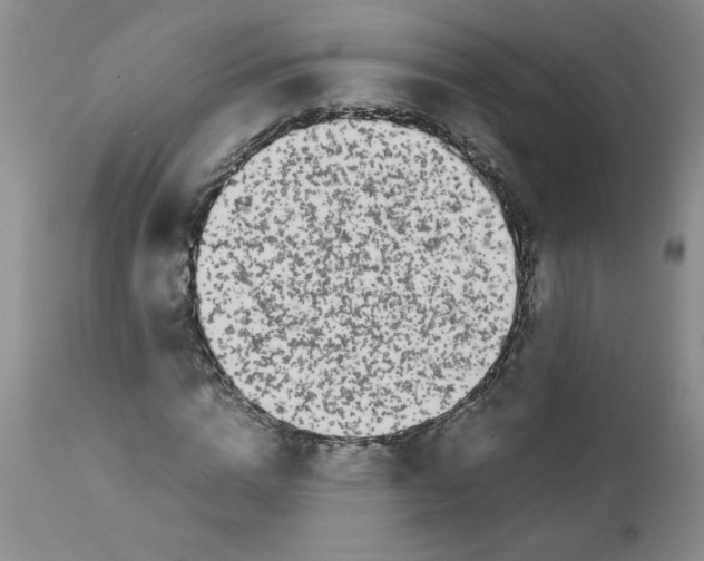 X0000111680824200908281133