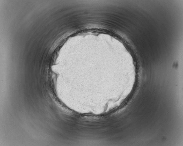 X0000111680825200908281133