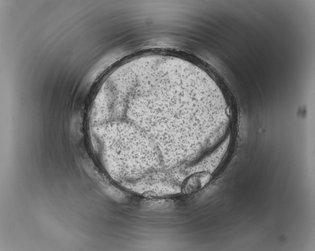 X0000111680826200908281133