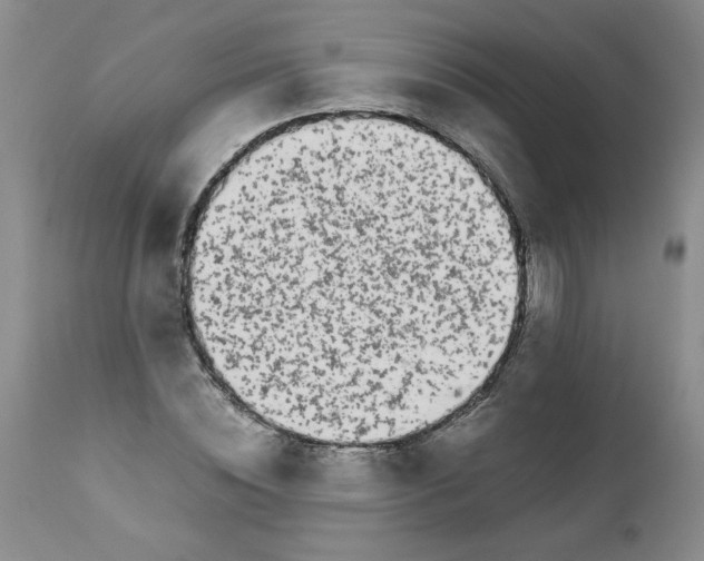 X0000111680828200908281133