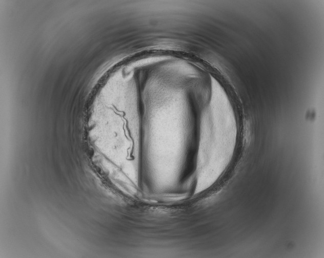 X0000111680829200908281133