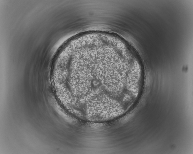 X0000111680830200908281133