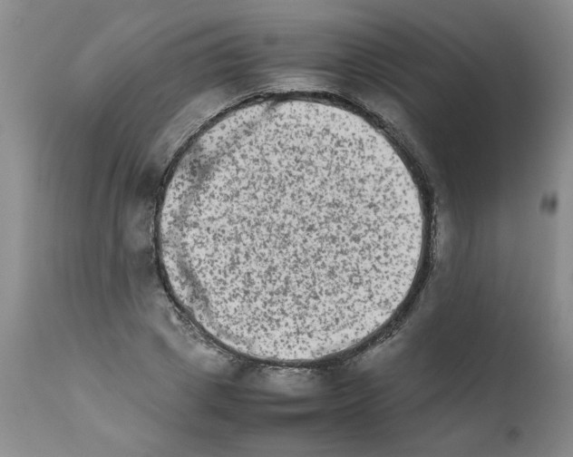 X0000111680833200908281134