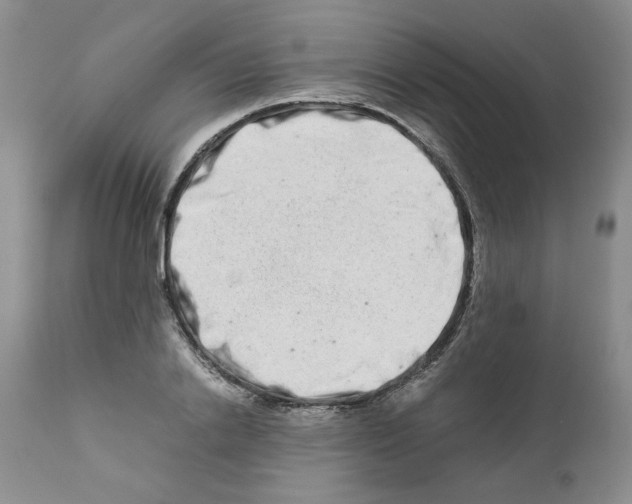 X0000111680838200908281134