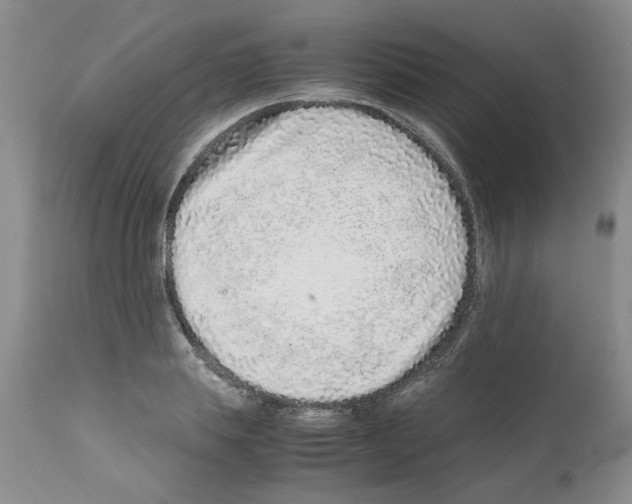 X0000111680839200908281134