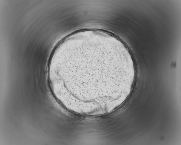 X0000111680840200908281134