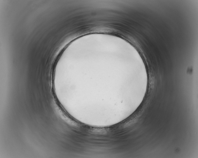 X0000111680843200908281134