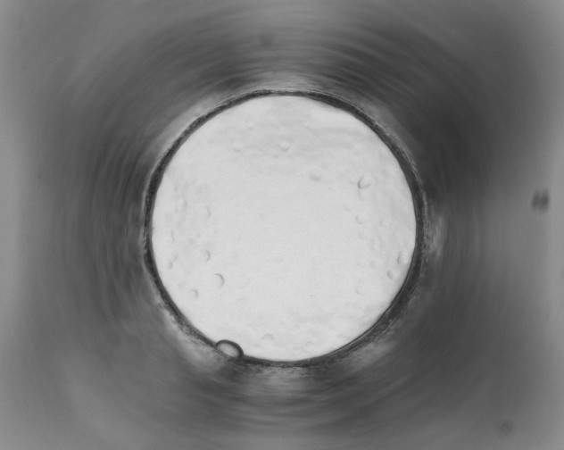 X0000111680845200908281134