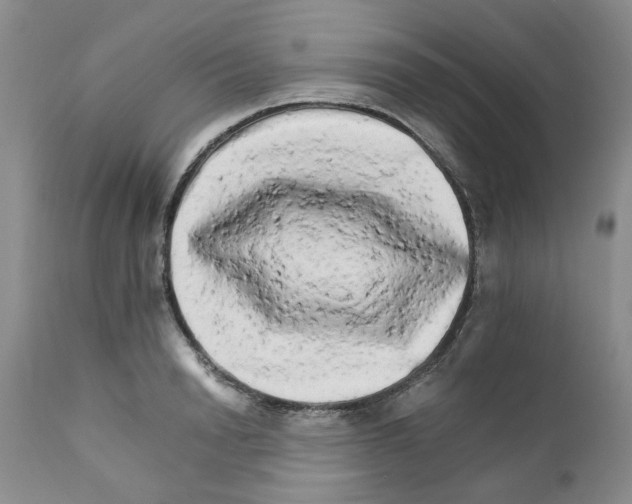 X0000111680846200908281134