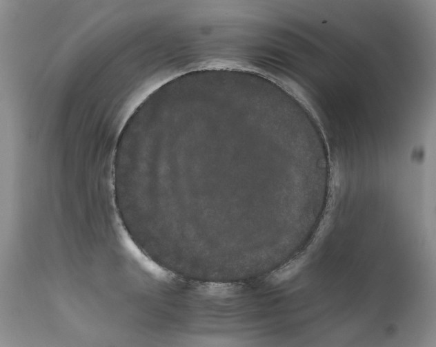 X0000111680847200908281134