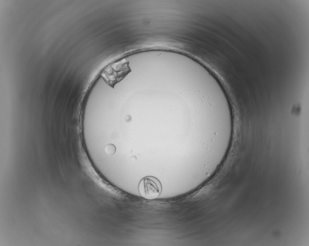 X0000111680848200908281134