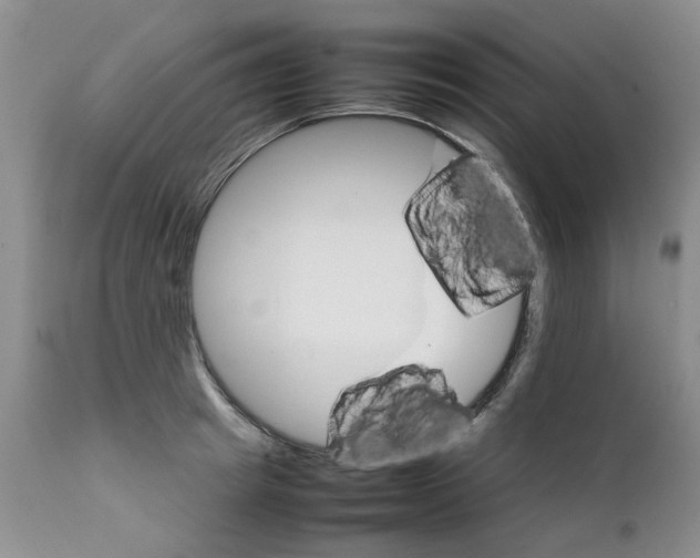 X0000111680849200908281134