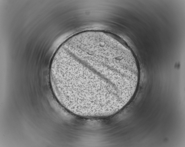 X0000111680850200908281134