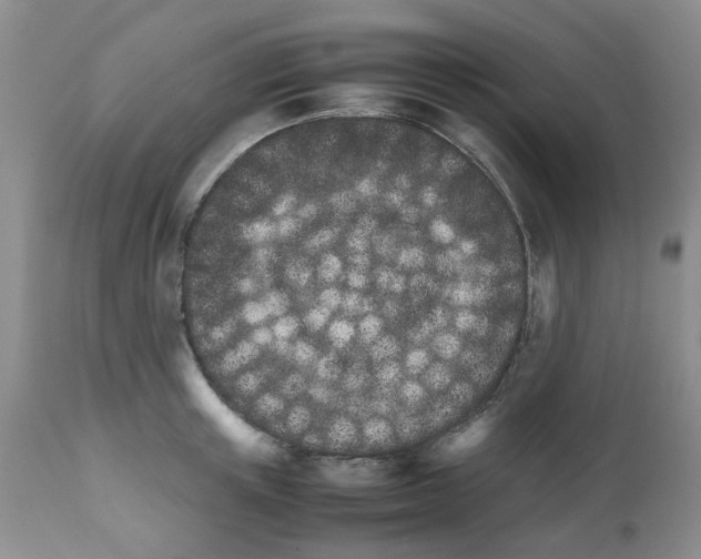 X0000111680851200908281134