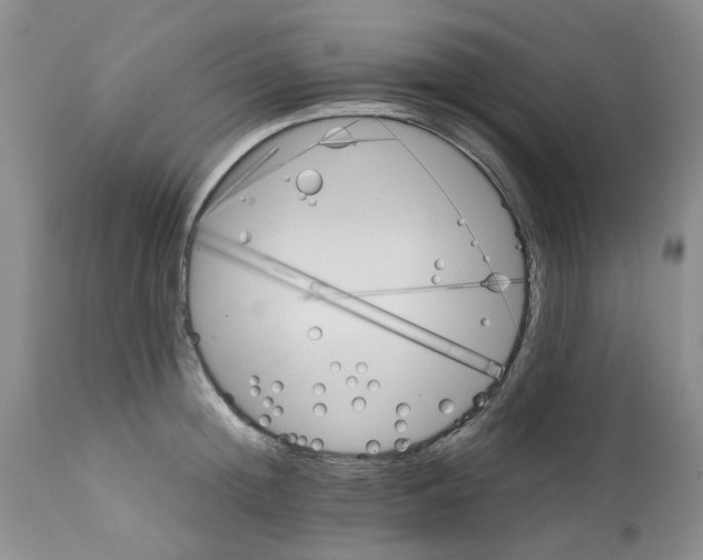 X0000111680852200908281134